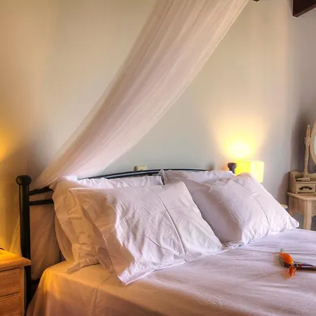 The Red Bougainvillea