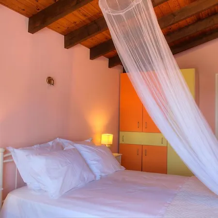 The Red Bougainvillea