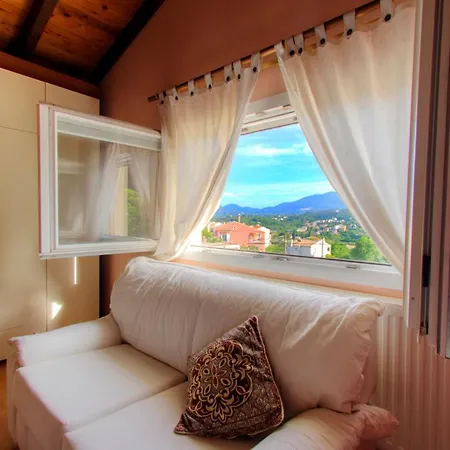 The Red Bougainvillea *