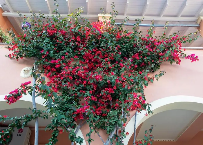 The Red Bougainvillea Lejlighed